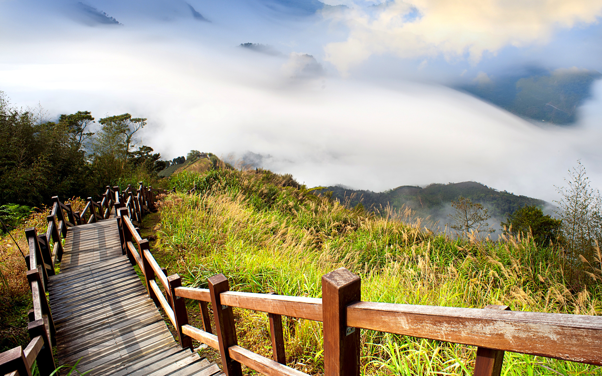 landscape, , , , , , , 